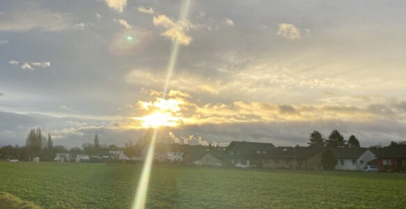 Wie ein Coaching wirken kann